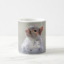 Search for cute critters mugs Squirrel