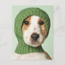 Search for spaniels postcards Cute