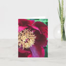 Search for rose colored cards Floral