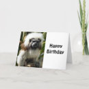 Search for cute monkey birthday cards Humourous