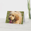 Search for cute dog birthday postcards Pets