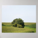 Search for large tree posters Landscape