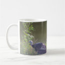 Search for wild turkeys mugs Photography