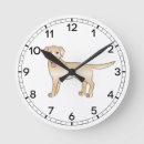 Search for labrador retriever clocks Animal
