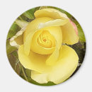 Search for rosebud magnets Green