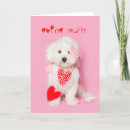 Search for mutt cards White