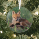 Search for red fox christmas tree decorations Mammal