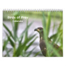 Search for birds of prey calendars Osprey