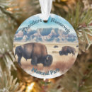 Search for bison christmas tree decorations North dakota