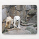 Search for polar bears mousepads Zoo