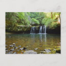 Search for fiery postcards Nature