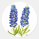 Search for state flower stickers Bluebonnets
