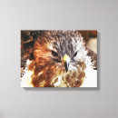 Search for red tail hawk art Hawks