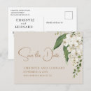 Search for orchid save Simple