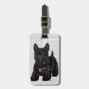 Search for scottish terrier Animals