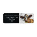 Search for holstein cow return address labels Farm