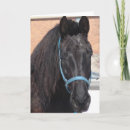 Search for percheron cards Equine