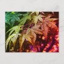 Search for drop leafs postcards Green
