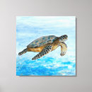 Search for sea turtle canvas prints Blue