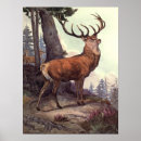 Search for deer hunting posters Venison