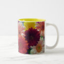 Search for gerbera mugs Daisies