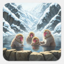 Search for snow monkey stickers Nagano