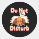 Search for doxy stickers Dog