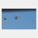 Search for bird of prey stickers Birds