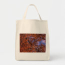 Search for 1 3 bags Scripture