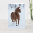 Search for running horse cards Shell wyoming