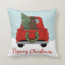 Search for labrador cushions Chocolate lab