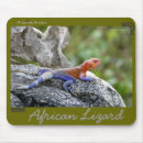 Search for lizards mousepads Chameleon