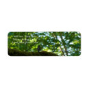 Search for birds on a branch return address labels Wildlife