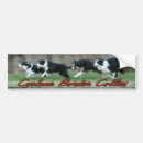 Search for agility bumper stickers Dogs