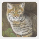 Search for bobcat stickers Animal