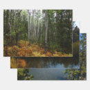 Search for white birch wrapping paper Nature