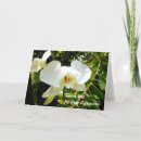 Search for orchid funeral thank you cards White