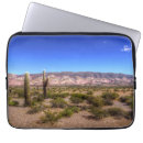 Search for barren electronics Cactus