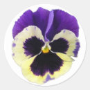 Search for paper cutouts stickers Flower