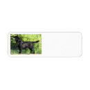 Search for black lab dog return address labels Cute