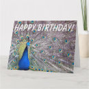 Search for peacock birthday cards Animals