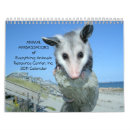 Search for arachnids calendars Animals