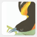 Search for orioles stickers Audubon
