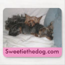 Search for buddies mousepads Terrier