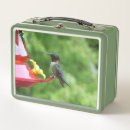 Search for ruby throated kitchen dining Nature