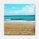 Search for ocean fun magnets Hawaii