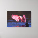 Search for ding art Wildlife