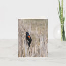 Search for winged cards Bird