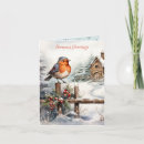 Search for robin redbreast christmas cards Traditional