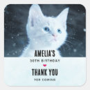 Search for cat with blue eyes stickers Feline